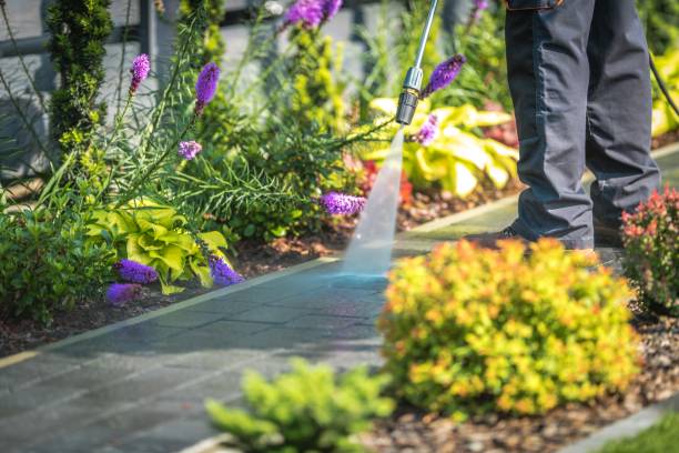 Professional  Pressure Washing Services in Heritage Village, CT